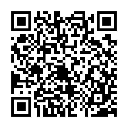 QR code for 9597566