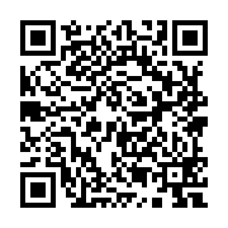 QR code for 959999Z