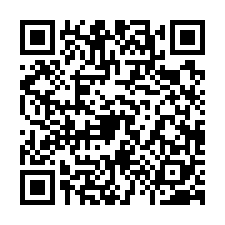 QR code for 9607687