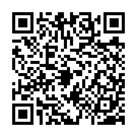 QR code for 9616511