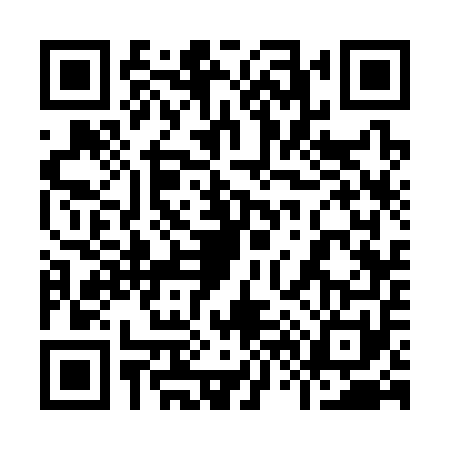QR code for 9633511