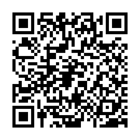 QR code for 9638299
