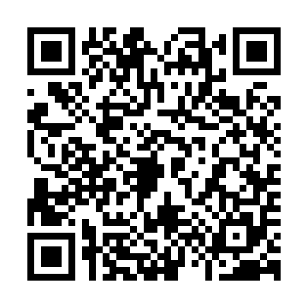 QR code for 9638558