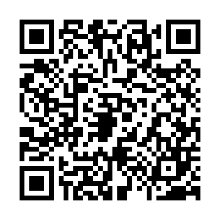 QR code for 965006Y