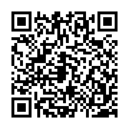 QR code for 9658167