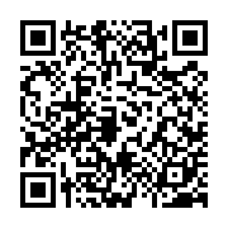 QR code for 9665011