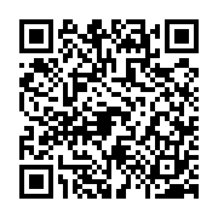 QR code for 9665733
