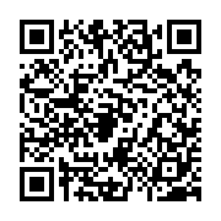 QR code for 9667504