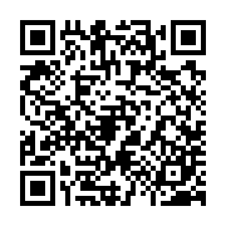 QR code for 9667873