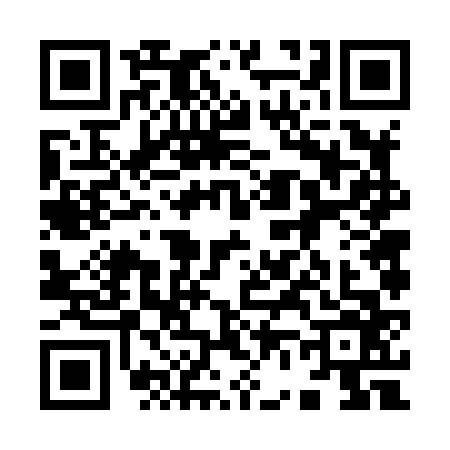 QR code for 9668663