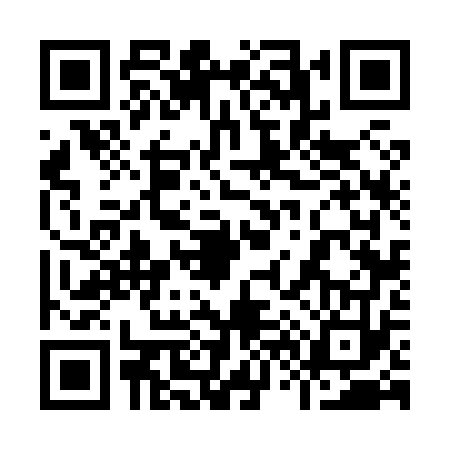 QR code for 9668733