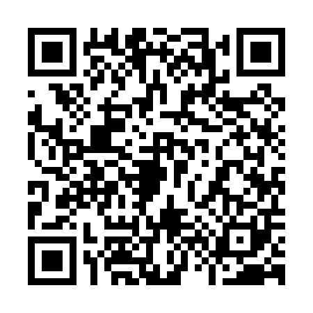 QR code for 9690011