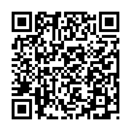 QR code for 981119X