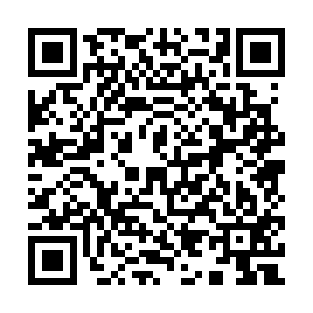 QR code for 990313M