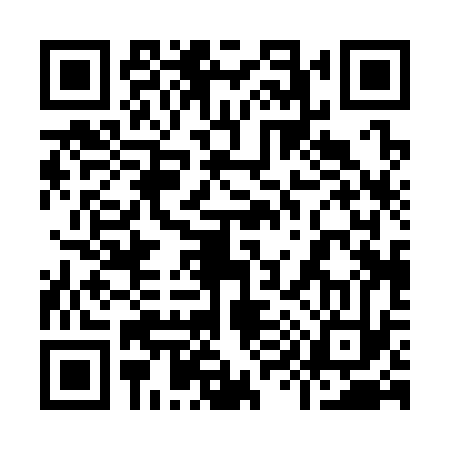 QR code for 990333R