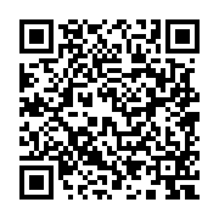 QR code for 9905965