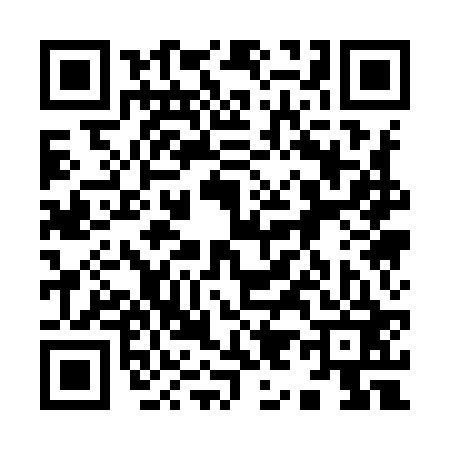 QR code for 991923Q