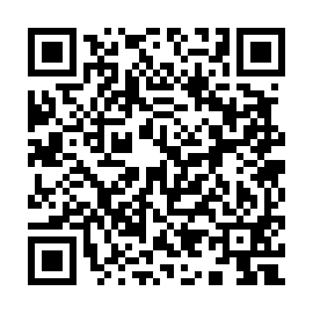 QR code for 993491L