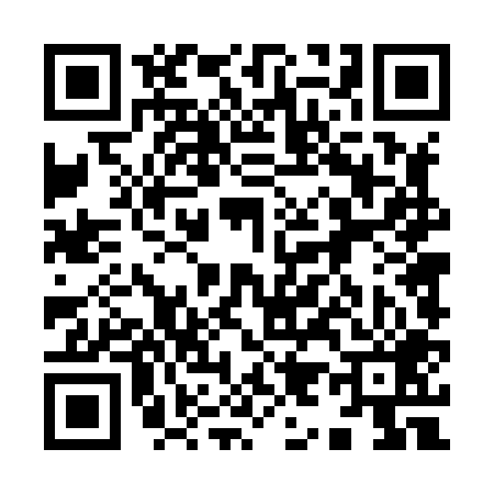 QR code for 994809Q