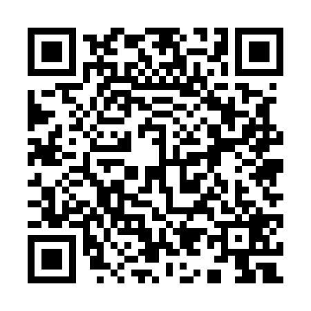 QR code for 9955291