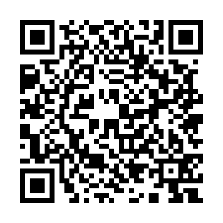 QR code for 995533C