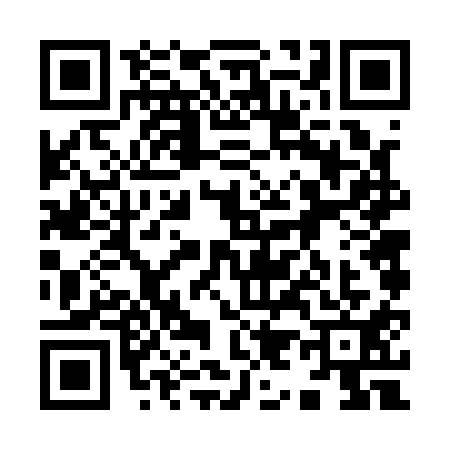 QR code for 9961113