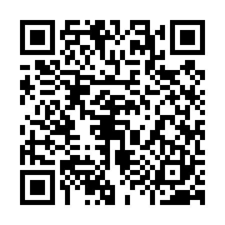 QR code for 9994233