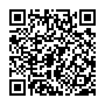 QR code for 9C06383