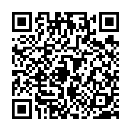 QR code for 9C9658T