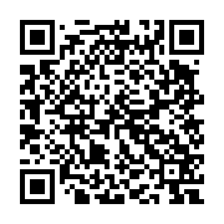 QR code for AAG463