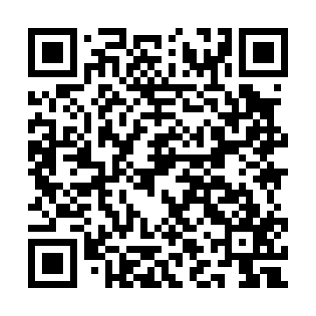 QR code for ALY017