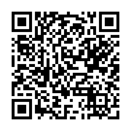 QR code for ANI382