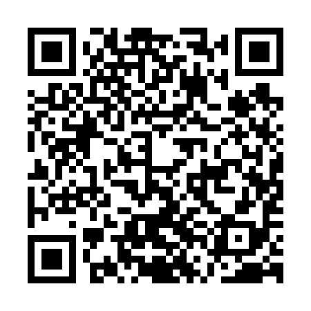QR code for AVA698
