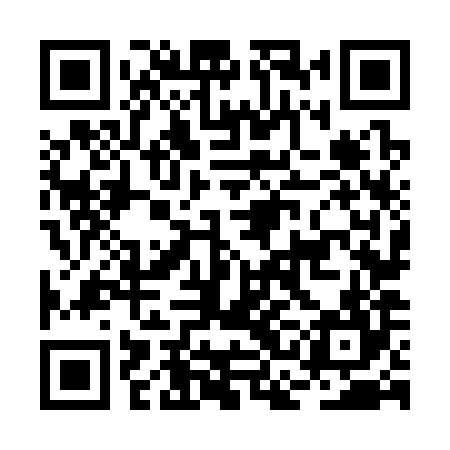 QR code for BCN384