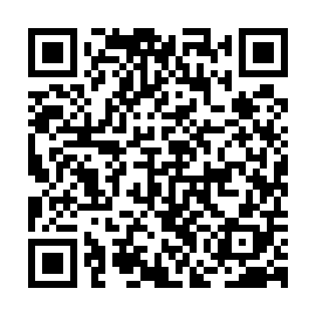 QR code for BGI508