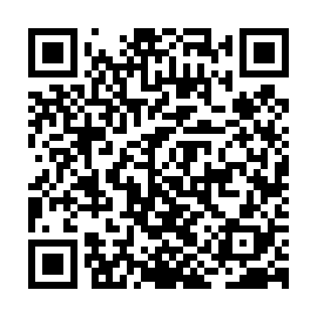 QR code for BIV428