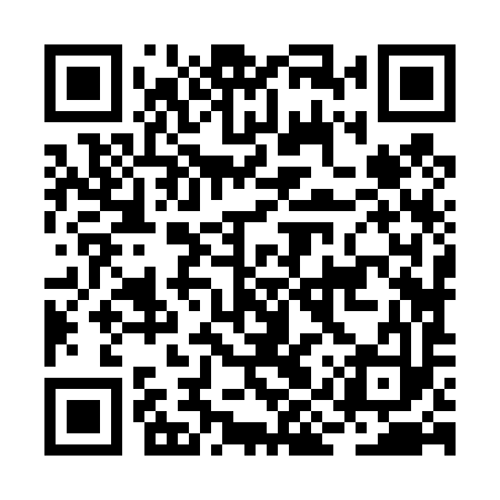 QR code for BIZ493