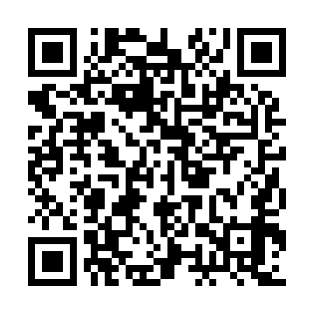 QR code for BOR959