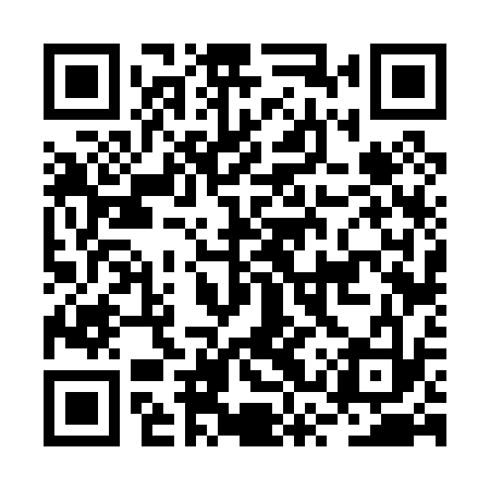 QR code for BSV033