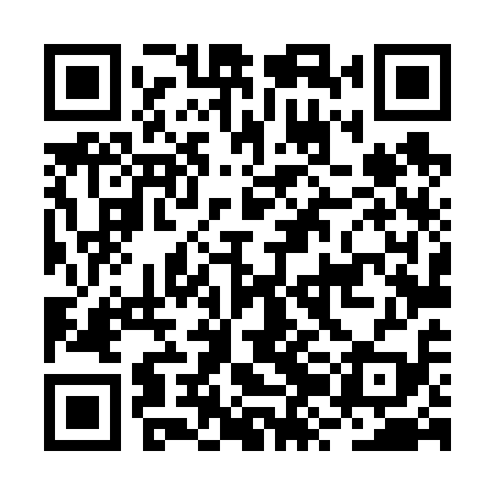 QR code for BZL619