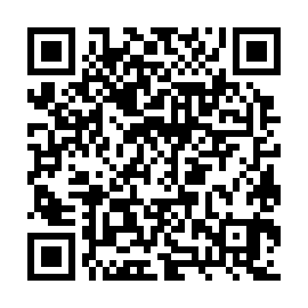 QR code for BZW381