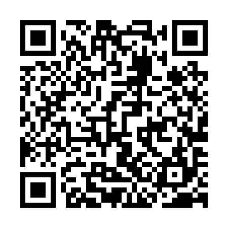 QR code for CCL294