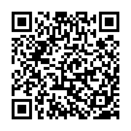QR code for CDQ595
