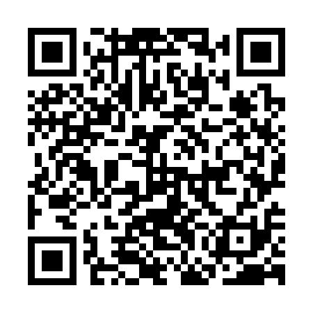 QR code for CGO311