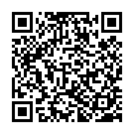 QR code for CHO481