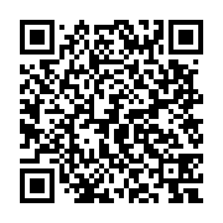 QR code for CIG538