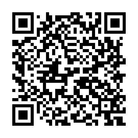 QR code for CJI953