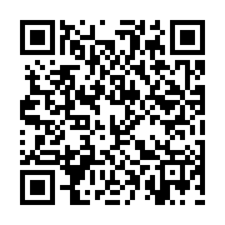 QR code for CPT387