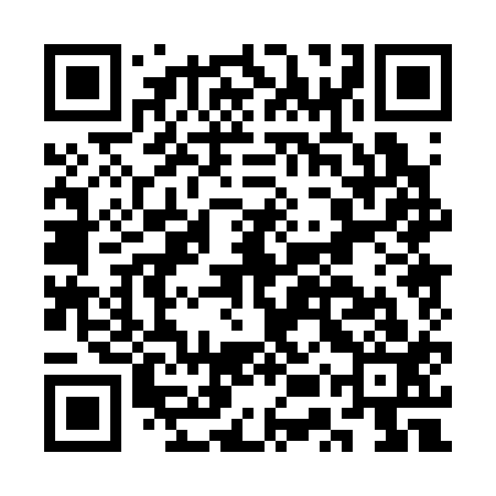 QR code for CUP313