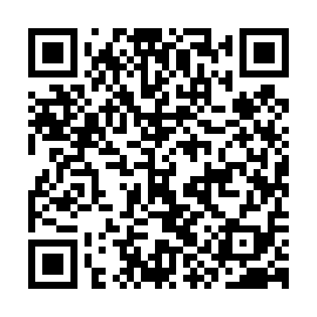 QR code for CYY419